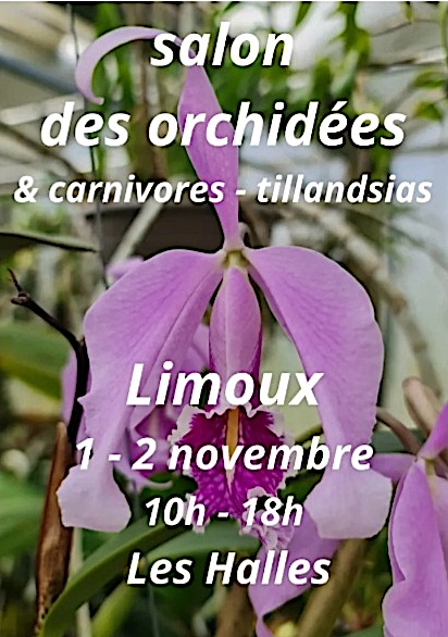 2025_nov_Limoux