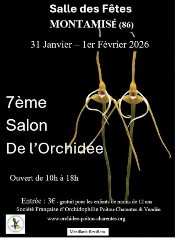 2026_fevrier_Montamisé