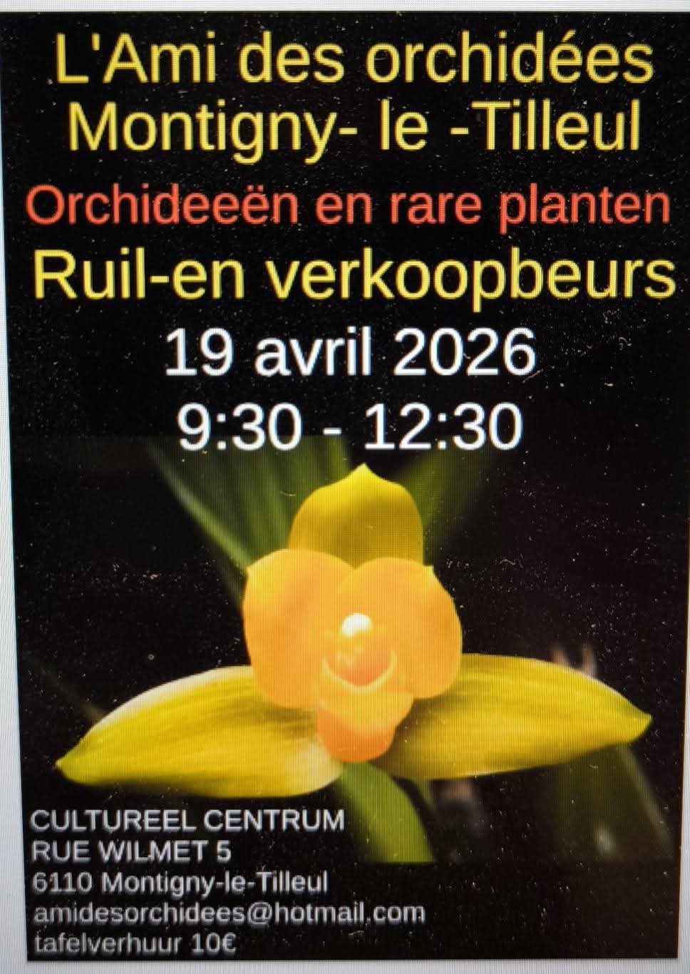 2026_avril_Montigny-le-Tilleul