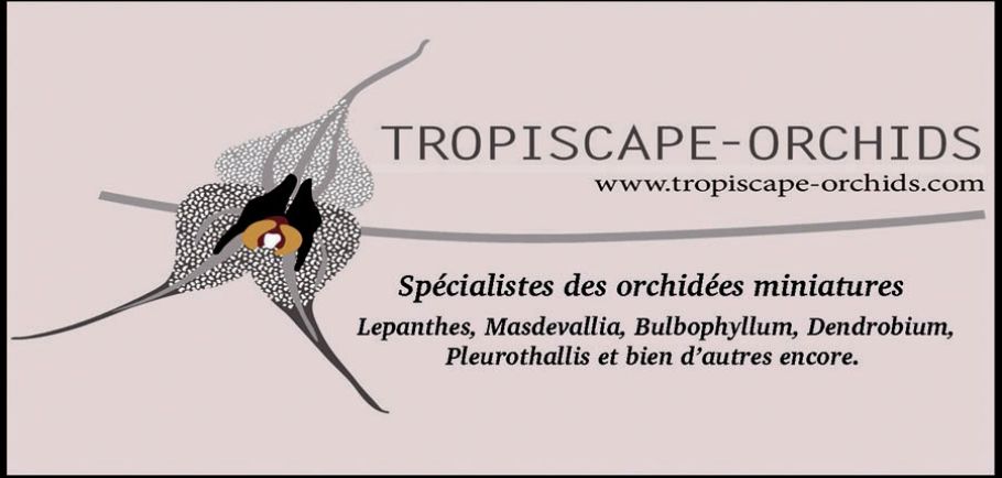 Tropiscape