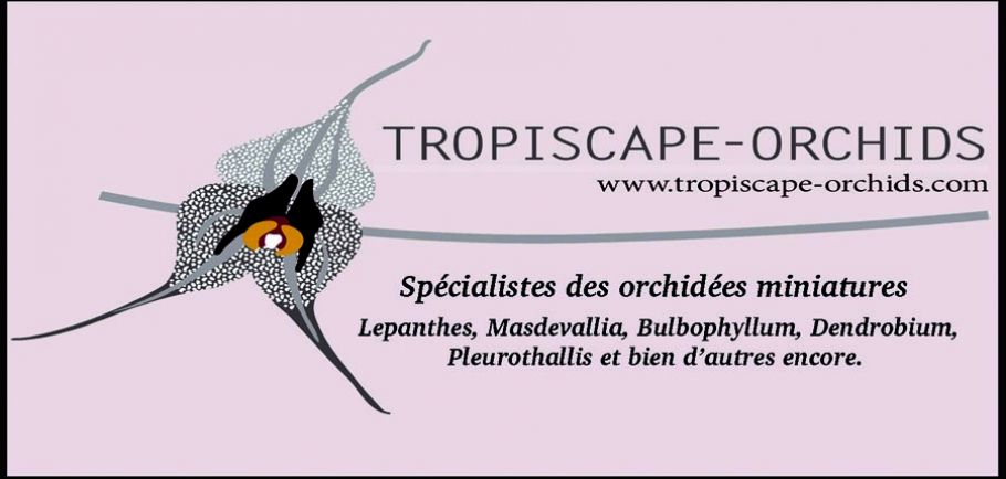 Tropiscape