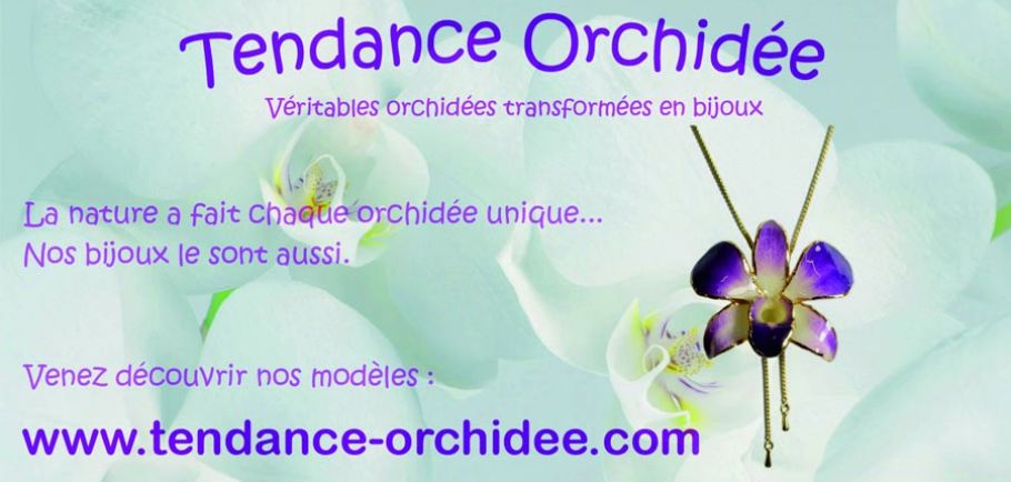 Tendance-Orchidée